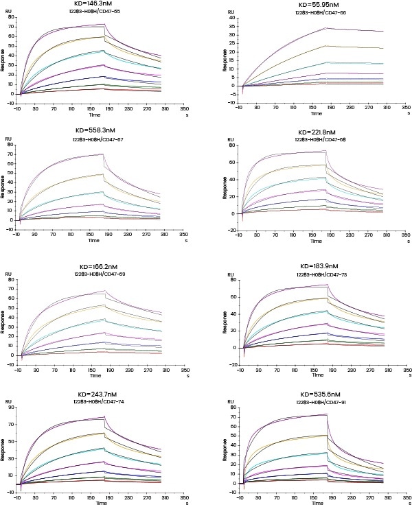Applying molecular interaction technology in SPR and BLI research Kinetic screening of candidate molecules against the targets (Biacore data)