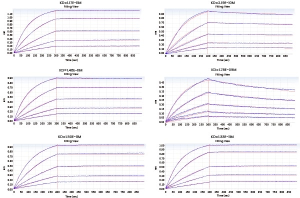 Applying molecular interaction technology in SPR and BLI research Kinetic screening of candidate molecules against the targets (Octet data)
