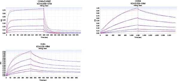 Applying molecular interaction technology in SPR and BLI research Affinity detection of target antibody drugs against Fc receptors (Octet data)