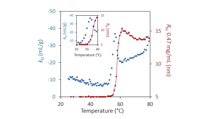 Diffusion interaction parameter (blue diamonds, left axis) and radius (red circles and solid line, right inverted axis) at lowest concentration as a function of temperature at pH 9.5. Inset: same, highlighting the transition region.