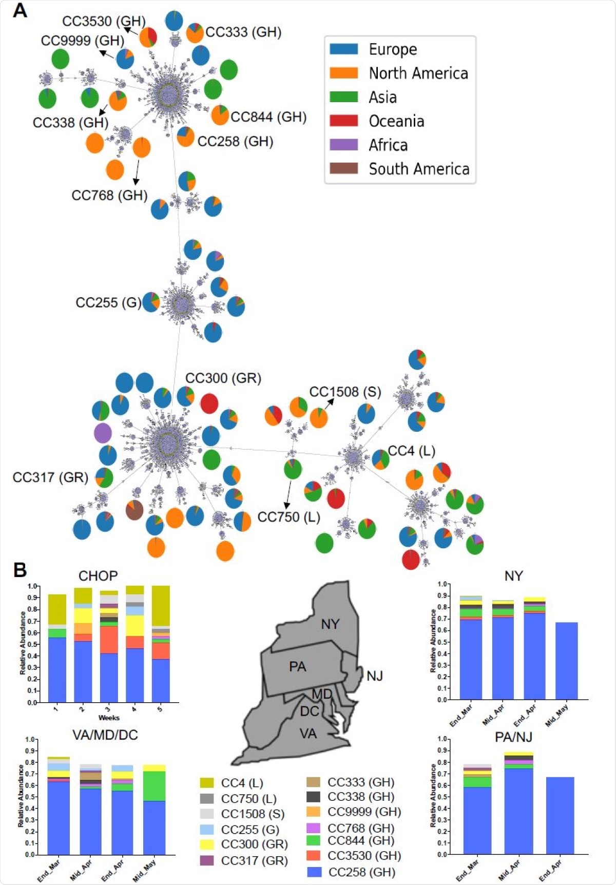 SARS-CoV-2 diversity from testing at our center. A. Minimum spanning tree (MST) of 32,719 SARS-CoV-2 genomes showing 17,615 Sequence Types (STs) and 70 clonal complexes (CCs). The MST represents the most recent dataset used in GNUVID as of August 17th. The reported 13 CCs 428 at CHOP are in black. The pie charts show the percentage distribution of genomes from the different geographic regions in each CC. B. Temporal Plot of 13 circulating CCs representing the 169 genomes in this study and their relative abundance in Pennsylvania (PA) and the neighboring states; New York (NY), New Jersey (NJ), Virginia (VA), Maryland (MD) and District of Columbia (DC). Weeks 1, 2, 3, 4and 5 are from 03/19-03/25, 03/26-04/1, 04/02-04/08, 04/23-04/29 and 04/30-05/04, respectively. The GISAID clades corresponding to the CCs are reported in parentheses.