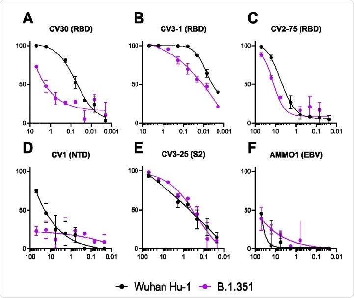 The ability of the mAbs to neutralize Wuhan Hu1 and B.1351 pseudovirus infectivity in 293-ACE2 cells was measured as indicated. The epitope specificity of each mAb is shown in parentheses (RBD: receptor binding domain; NTD: N terminal domain; S2: S2 subunit; EBV: Epstein-Barr virus). Data is represenative of two independent expeiments.