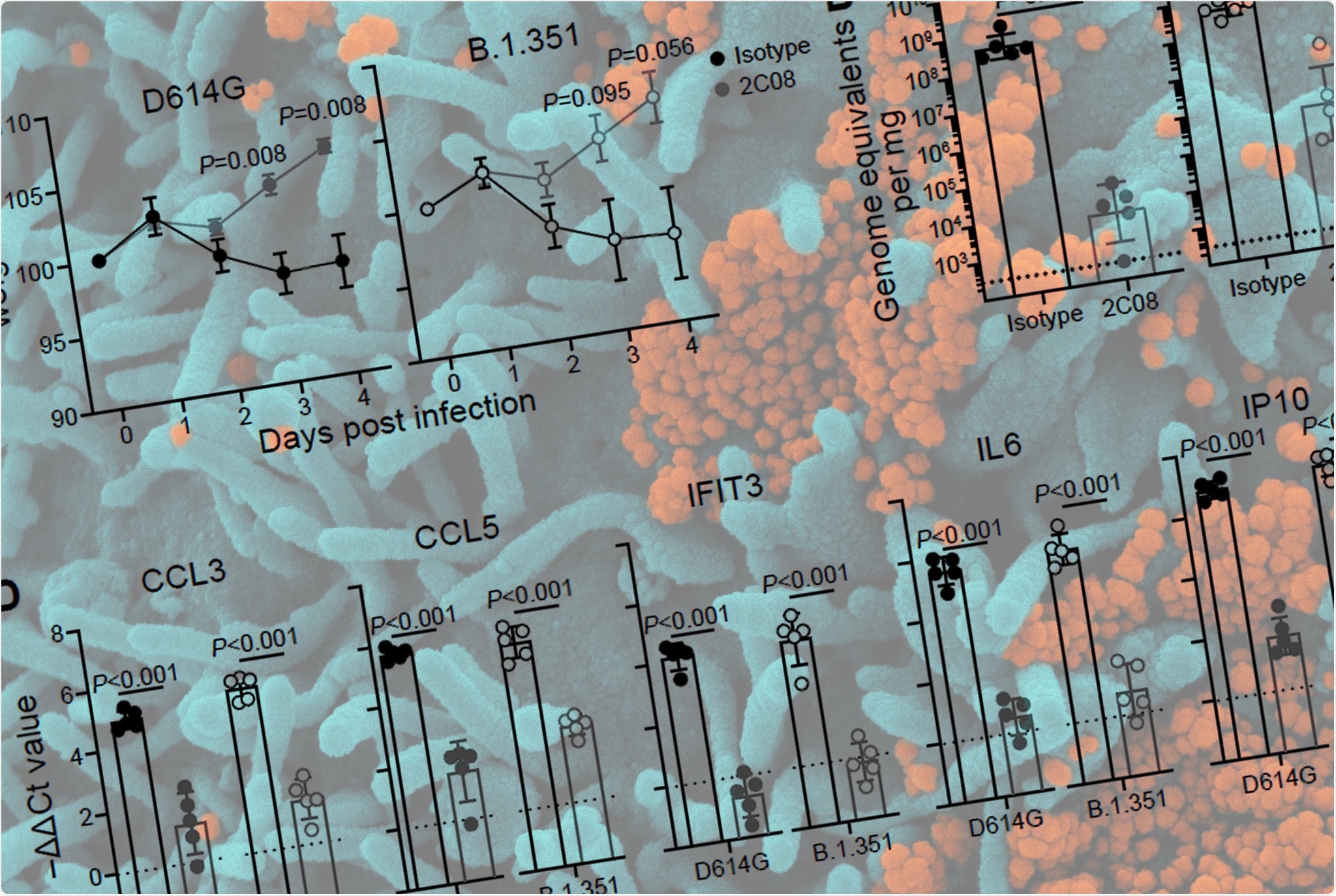 Study: A public vaccine-induced human antibody protects against SARS-CoV-2 and emerging variants