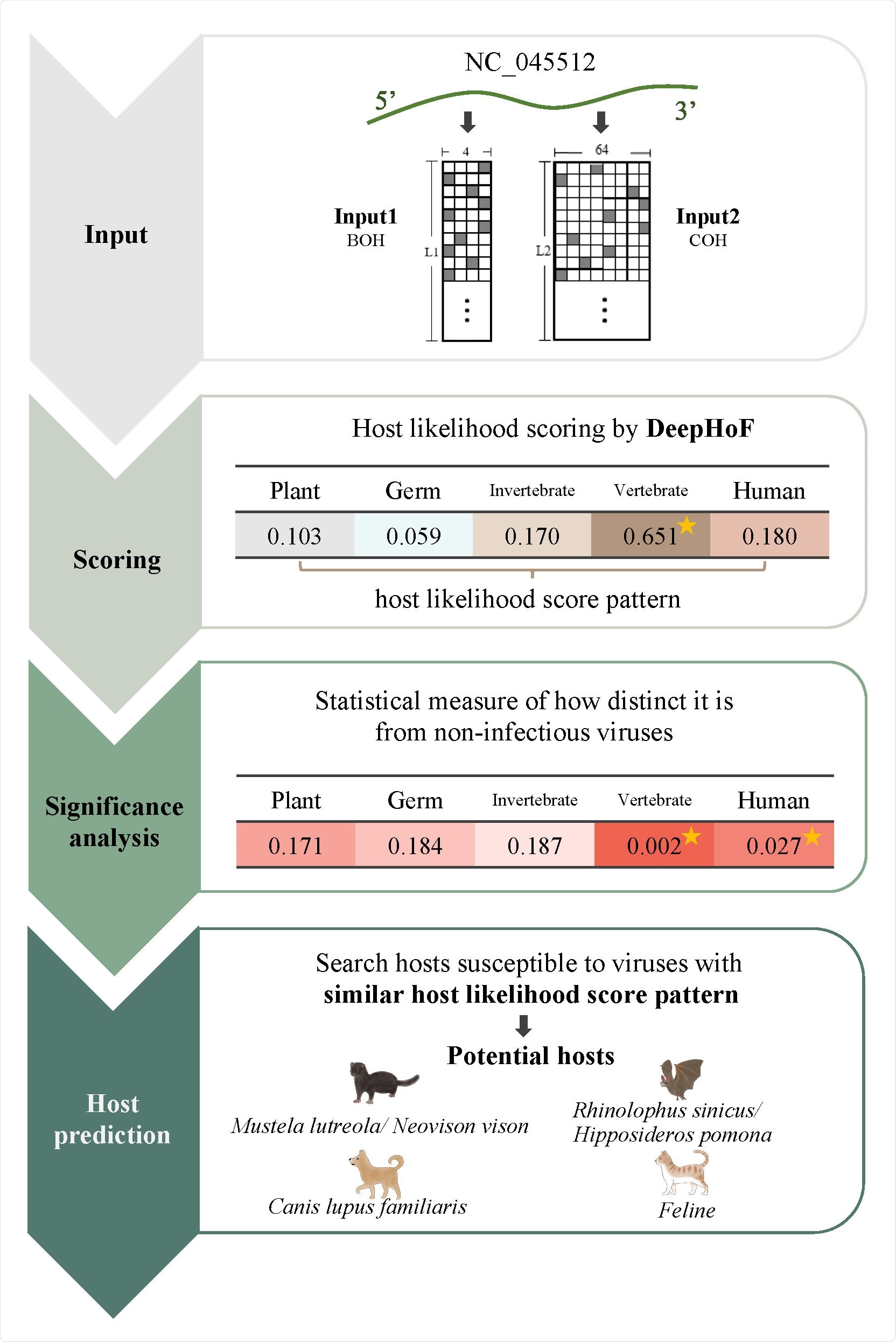 Visualization of the host likelihood score profiles of SARS-CoV-2 isolates from different GISAID clades and the manually mutated SARS-CoV-2 isolates on two-dimensional PCA SARS-CoV-2 isolates fall into several clear fusiform clusters with different colors according to their clades. Manually mutated with specific marker variants, the 17 earliest sequenced isolates move to the corresponding fusiform cluster of the clade that is represented by the specific marker variants.