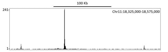 Localization of human HIF1-alpha binding sites in immunoprecipitates from CoCl2 treated HepG2 lysates by ChIP-Seq. Antibody: Rabbit anti-HIF1-alpha recombinant monoclonal [BL-124-3F7] (A700-001).