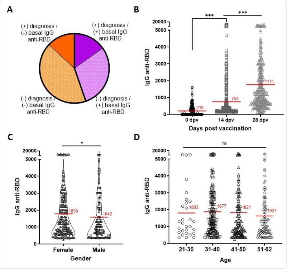 Humoral immune response elicited in 602 individuals after receiving the SPUTNIK V vaccine. (A) Distribution of vaccinated population according to the presence of basal IgG anti-RBD and the history of previous documented COVID-19 diagnosis. (B) Anti- RBD specific titers, as measured by ELISA, at 0 days post-vaccination (dpv) (black circles), 14 dpv (dark grey squares) and 28 dpv (light grey triangles). *** p<0.0001. Statistical analysis was performed with Dunn´s multiple comparison test. (C) Anti-RBD specific titers in female (black triangles) or male (black squares) HCP. * p<0.05. Statistical analysis was performed with Mann- Withney test. (D) Anti-RBD specific titers in four defined age groups: 21-30 (circles), 31-40 (squares), 41-50 (triangles), 51-60 (diamonds) at 28 dpv. Mean antibody titer for each group is indicated as a red line.