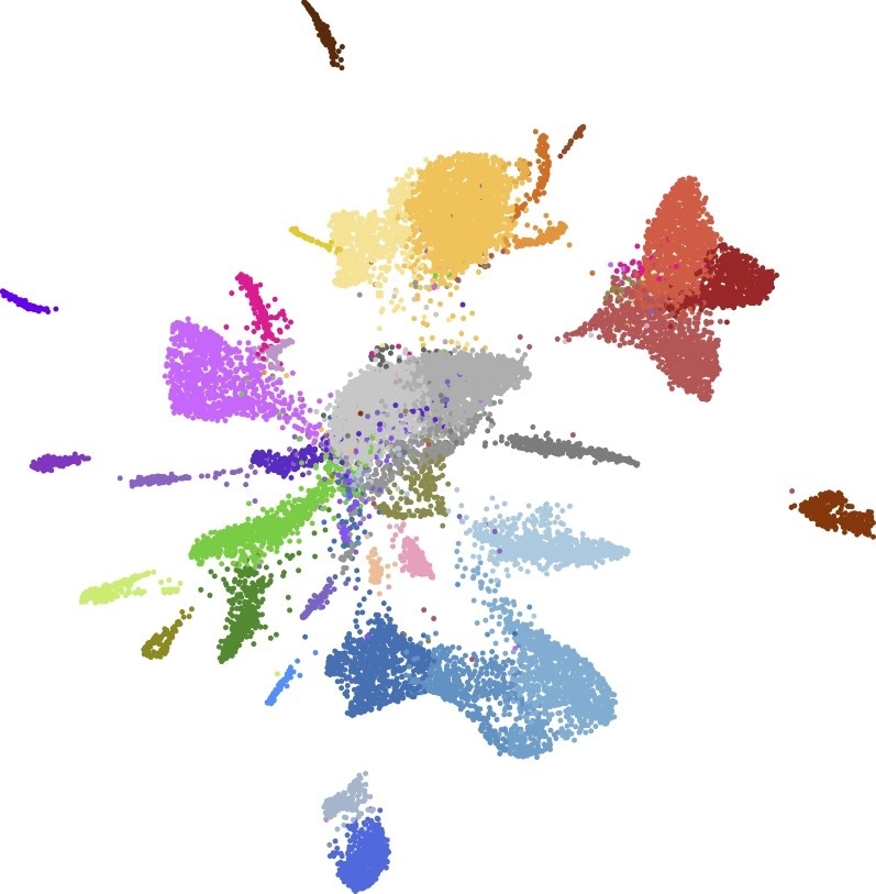 Scientists develop new method that advances single-cell transcriptomic technologies