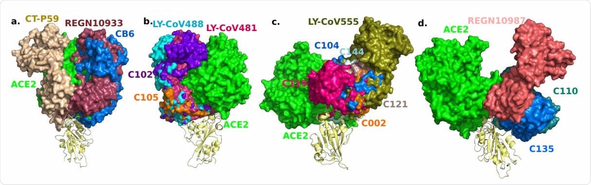 3D alignment of 16 antibodies and ACE2 on the S protein RBD. a. CT-P59 (7CM4), REGN10933 (6XDG), CB6 (7C01). b. LY-CoV488 (7KMH), LY-CoV481 (7KMI), C102 (7K8M), C105 (6XCM). c. LY-CoV555 (7KMG), C002 (7K8T), C104 (7K8U), C119 (7K8W), C121 (7K8X), C144 (7K90). d. REGN10987 (6XDG), C110 (7K8V), C135 (7K8Z).
