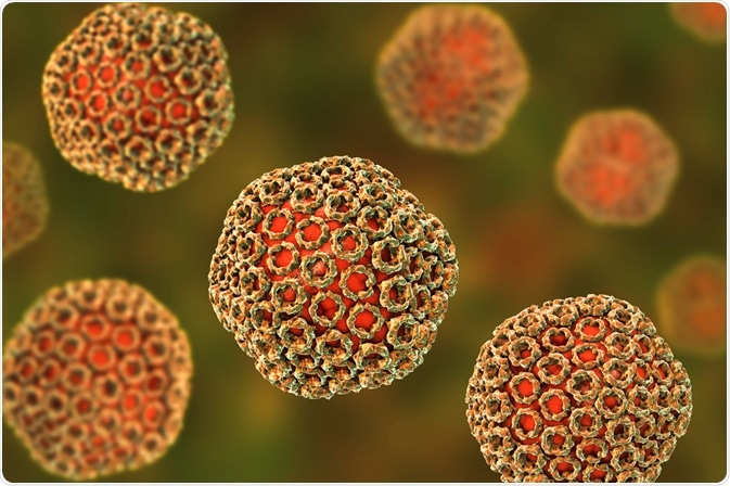 Image Credit: Kateryna Kon / Shutterstock