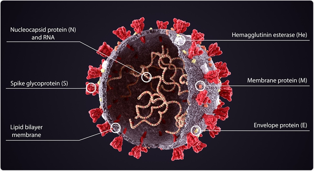 Study: Identification of SARS-CoV-2 Antiviral Compounds by Screening for Small Molecule Inhibitors of the nsp14 RNA Cap Methyltransferase. Image Credit: Orpheus FX / Shutterstock