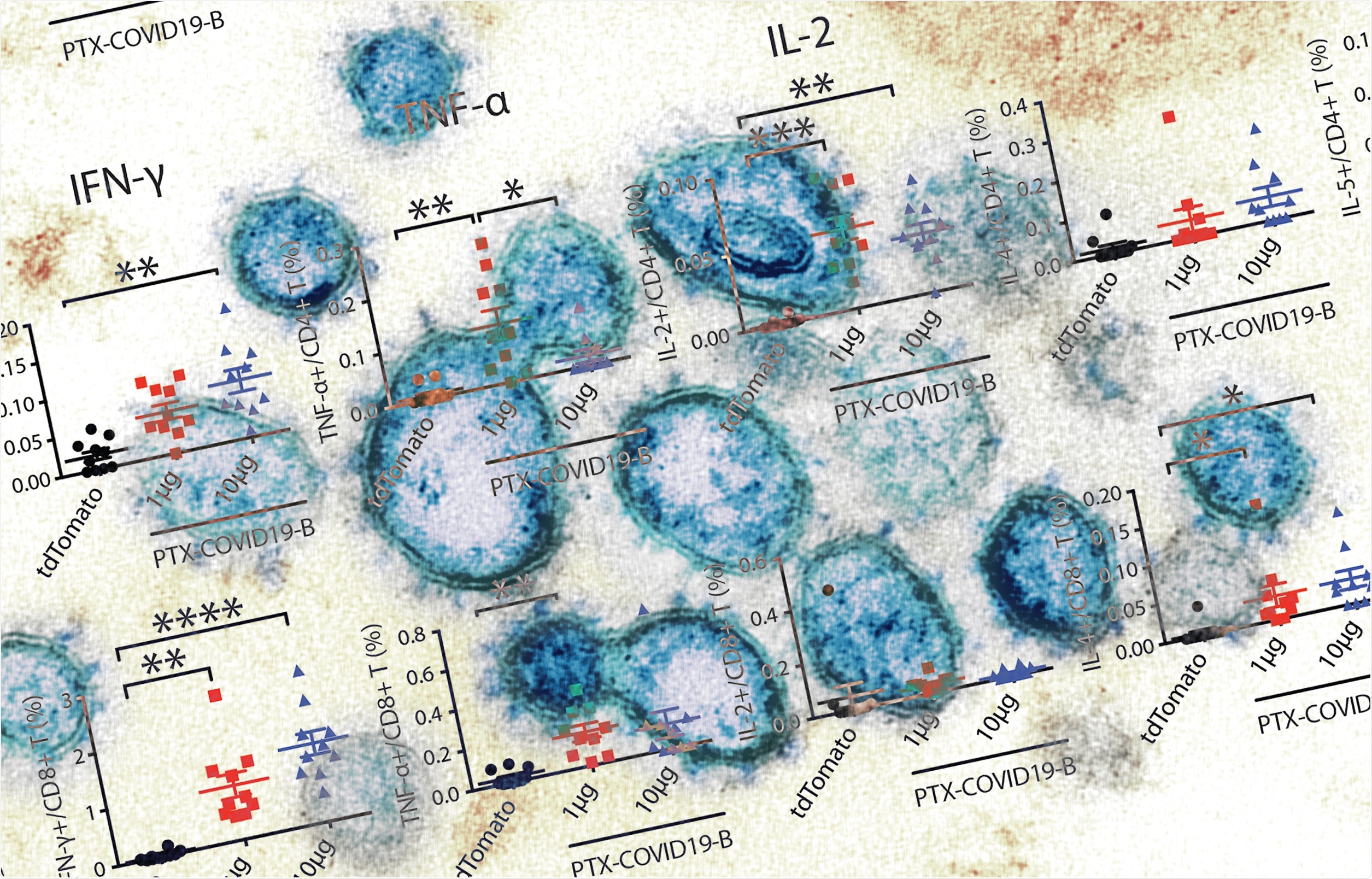 Study: Preclinical evaluation of a SARS-CoV-2 mRNA vaccine PTX-COVID19-B