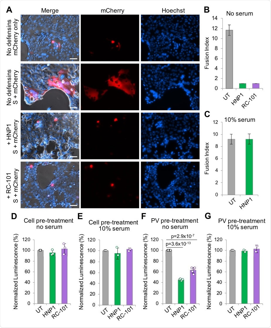 HNP1 and RC101 inhibit SARS-CoV-2 spike-pseudotyped viral infection