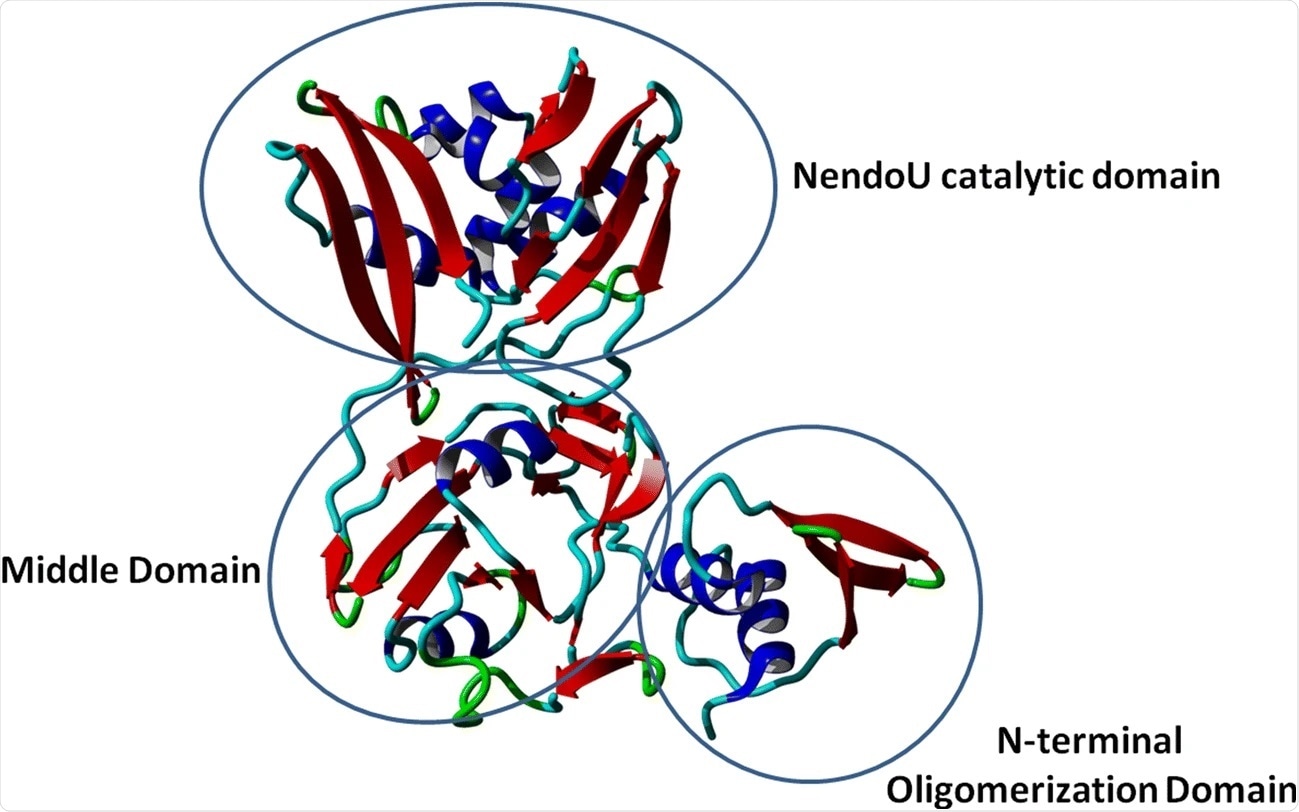 Crystal structure of NSP15 monomer protein