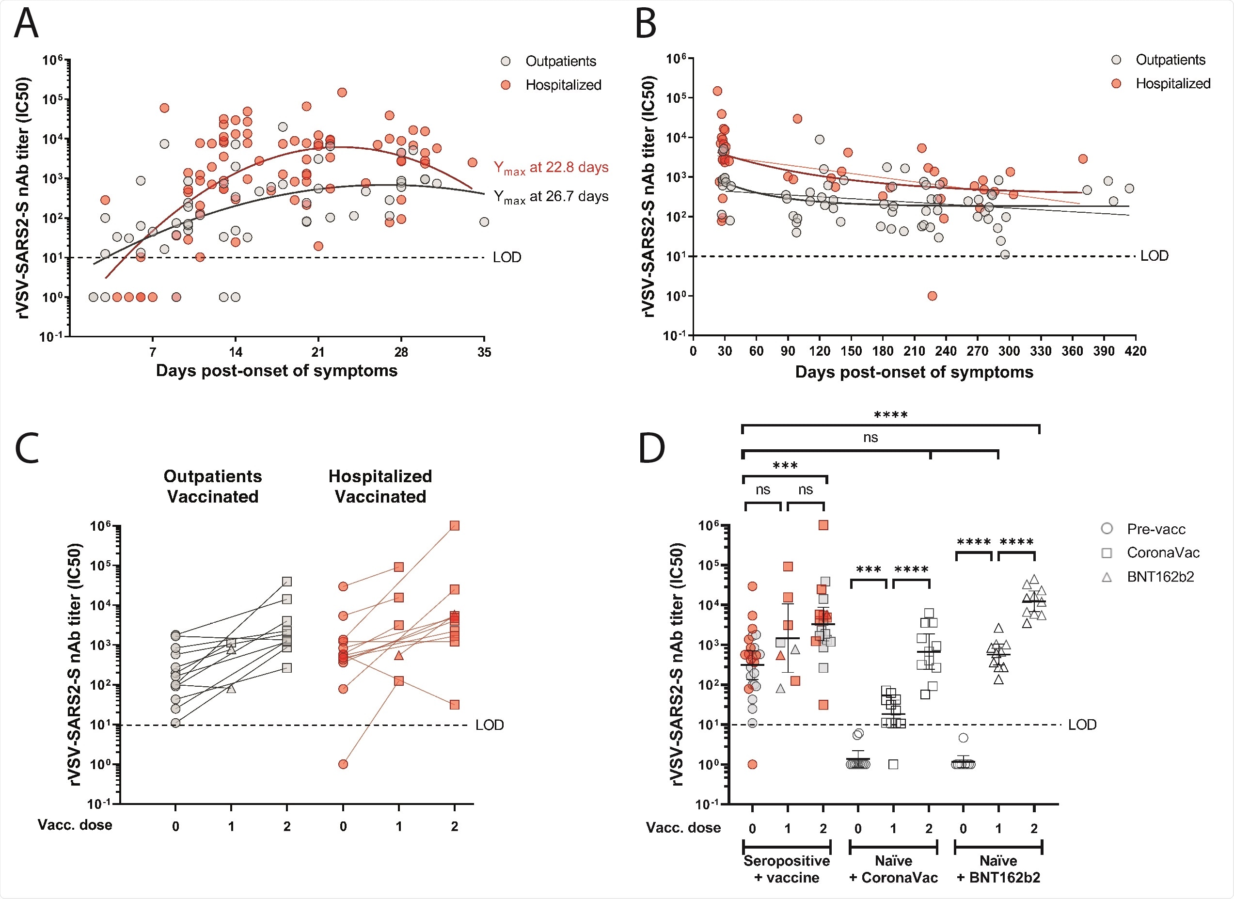 Neutralizing antibody responses to SARS-CoV-2 in seropositive and naïve individuals before and after CoronaVac or BNT162b2 vaccination. (Panels A to D) The half maximum inhibitory concentration (IC50) of sera was determined by microneutralization assay of recombinant vesicular stomatitis virus carrying SARS-CoV-2 spike protein (rVSV-SARS2-S). (Panel A) Neutralizing antibody (nAb) titers (IC50) from 15 outpatients (57 samples; grey circles) and 26 hospitalized (84 samples; red circles) at 2 to 36 days post-symptom onset. Second order polynomial (quadratic) curve fitting was used to establish the days at which peak titers occurred (Ymax). (Panel B) Longitudinal nAb titers from 36 outpatients (66 samples) and 31 hospitalized (44 samples) taken from day 27 (outpatients) or day 23 (hospitalized) until day 414 post-symptom onset. One-phase decay fit is indicated as a bold line, while continuous decay fit is shown with the thinner line in red and gray for the corresponding patient group. (Panel C) nAb titers from 13 outpatient (26 samples) or 14 hospitalized (28 samples) individuals immunized with one or two doses of CoronaVac (24 participants) or one or two doses of BNT162b2 (3 participants) vaccines. (Panel D) nAb titers from naïve individuals after the first and second dose of CoronaVac (11 participants) or BNT162b2 (10 participants) vaccines, compared to seropositive individuals who were not vaccinated (26 participants) or received one dose (8 samples) or two doses (20 samples) of the indicated vaccines. Geometric means with 95% confidence intervals are shown. Circles, non-vaccinated; squares, vaccinated with CoronaVac; triangles, vaccinated with BNT162b2. Dashed line indicates the limit of detection (LOD) of the microneutralization assay.