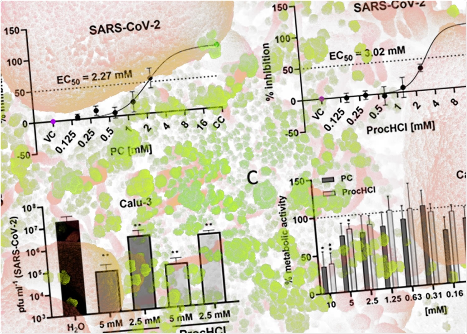 Study: The local anaesthetic procaine prodrugs ProcCluster® and Procaine-hydrochloride impair SARS-CoV-2 replication in vitro. Image Credit: NIAID