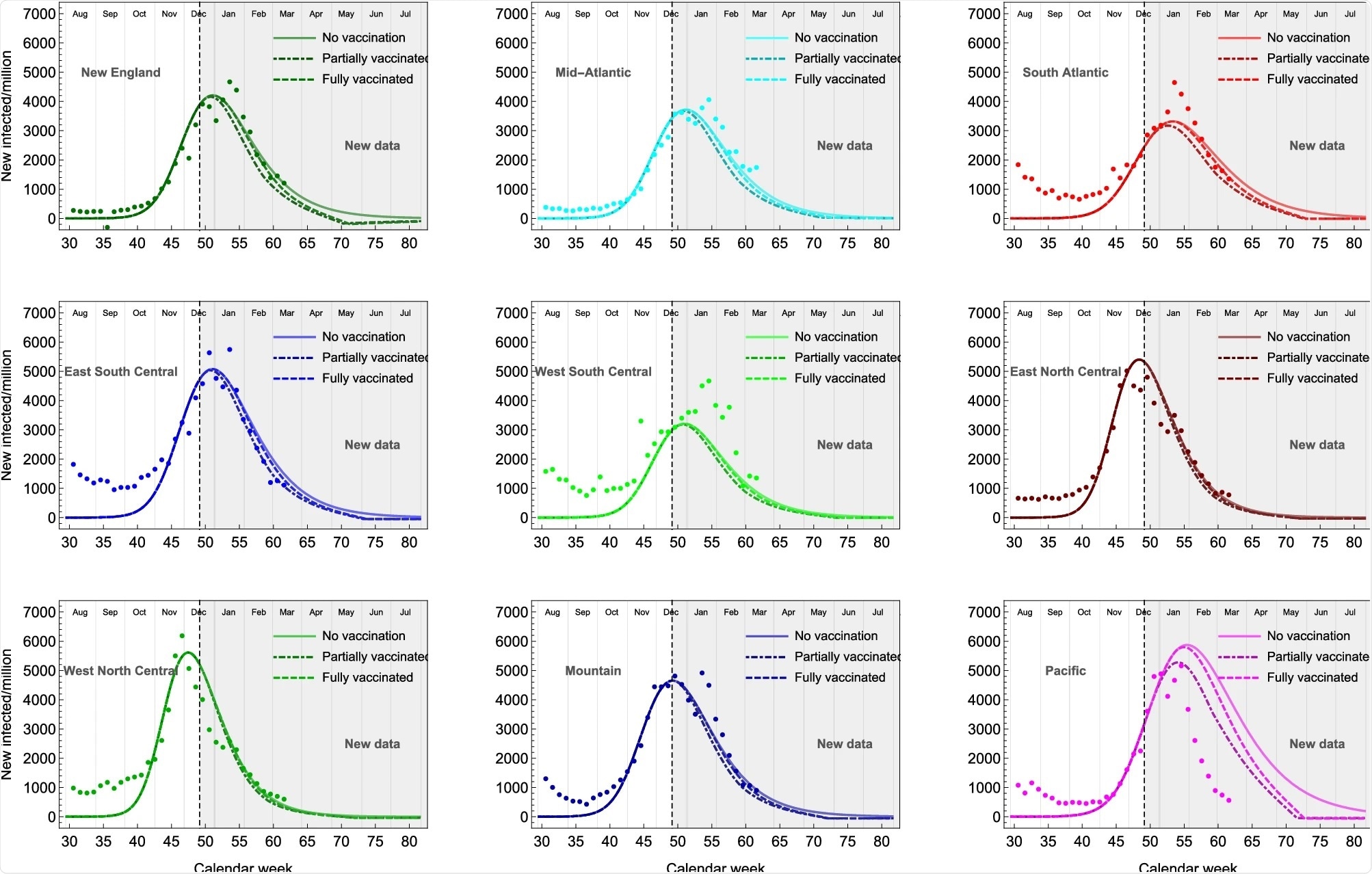 Mathematical Model T-Cell Treatment