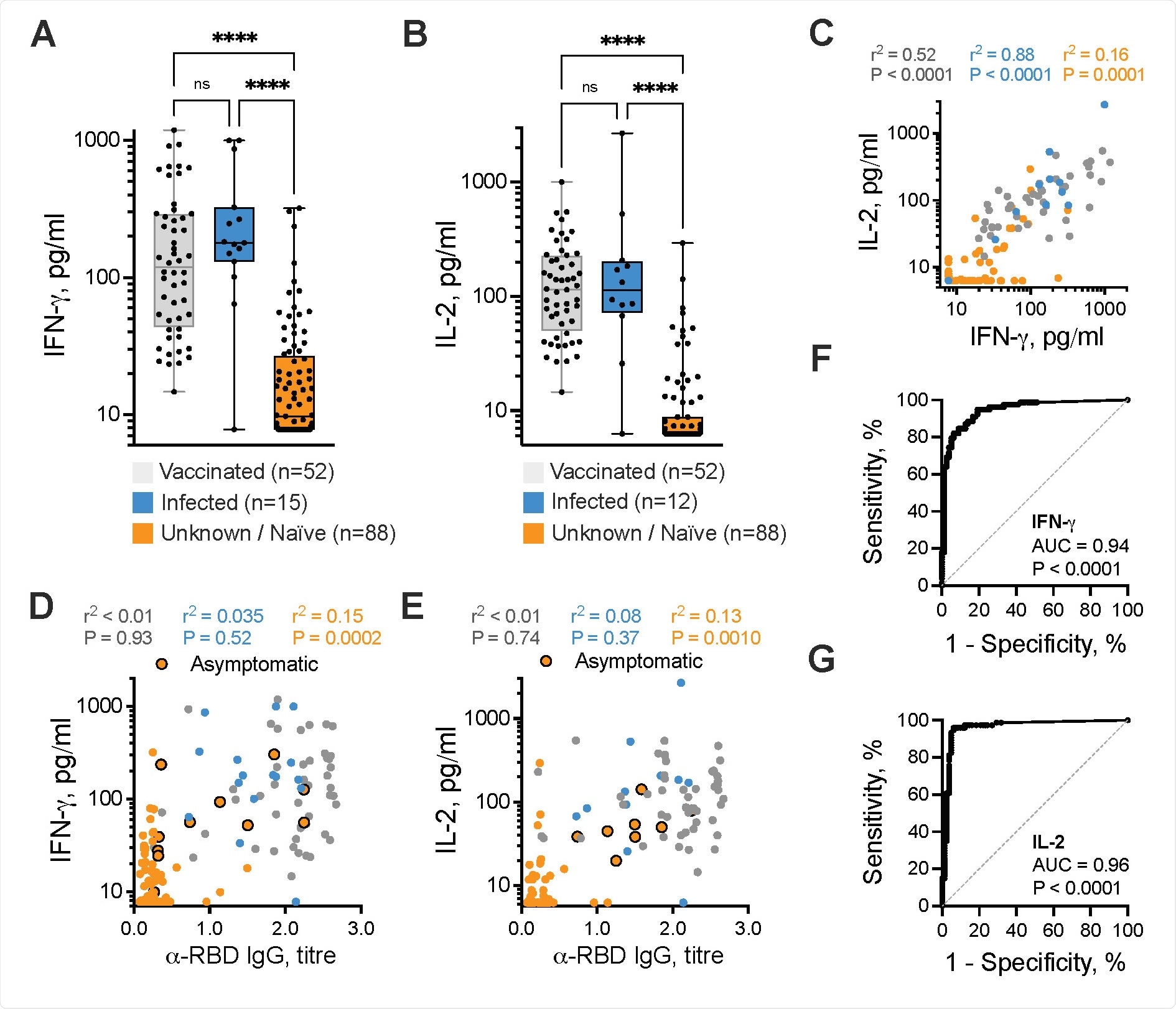 SARS-CoV-2-specific T cell response identifies prior asymptomatic infection. IFN-g (A) and IL-2 (B) release in response to the SARS-CoV-2 S-/NP-/Mcombined peptide pool was measured in 156 evaluable participants, subdivided into those with prior COVID-19 vaccination (grey, n = 52), prior COVID-19-positive PCR test result (blue, n = 12-15), or those with no prior positive COVID-19 test, termed ‘unknown/naïve’ (orange, n = 88). Statistical analyses indicate the results of a Kruskal-Wallis test with Dunn’s correction for multiple comparisons (**** P < 0.0001). (C) The SARS-CoV-2-specific IL-2+ T cell response was correlated with the IFN-g+ response, subdivided by participant status. The anti-SARS-CoV-2 RBD IgG antibody titre was correlated with the magnitude of IFN-g+ T cell response (D) and IL-2+ T cell response (E), with identified asymptomatic participants highlighted. Results of regression analyses are indicated. Sensitivity and specificity readouts for IFN-g (F) and IL-2 (G) were defined by receiver operating characteristic curves. Area under the curve (AUC) and associated P value are indicated.