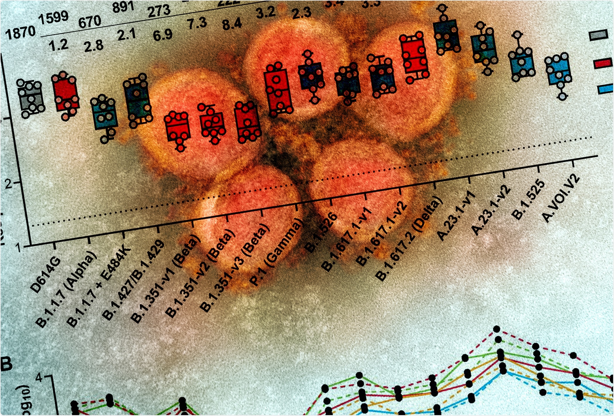 Study: Serum Neutralizing Activity of mRNA-1273 against SARS-CoV-2 Variants. Image Credit: NIAID