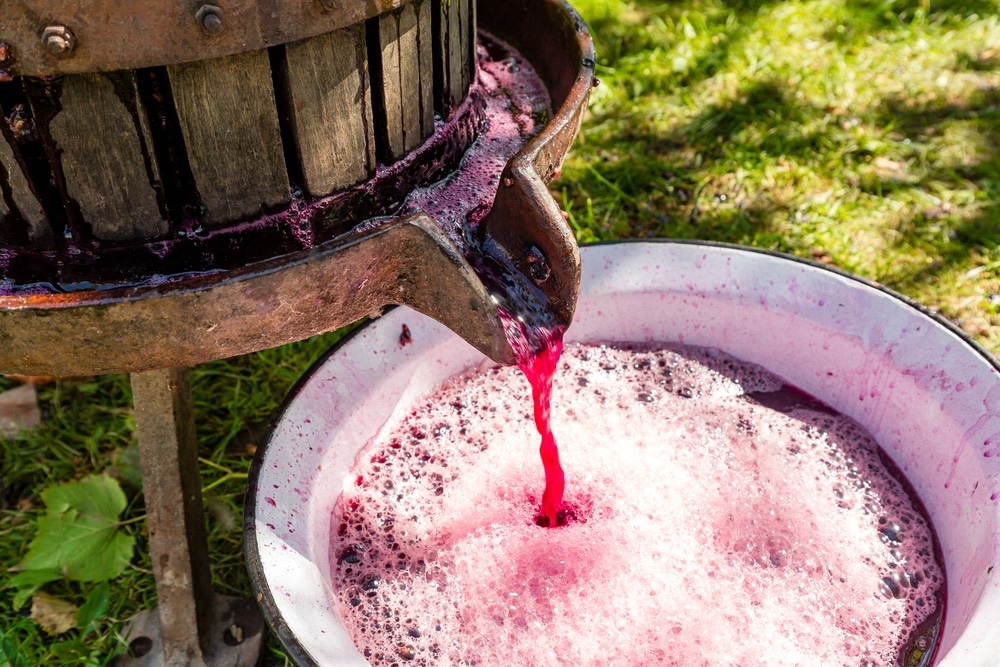 winemaking