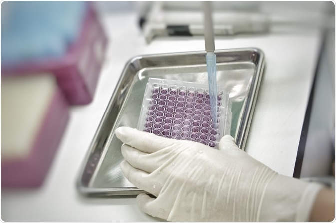 Cell cytotoxicity testing Cell cytotoxicity testing