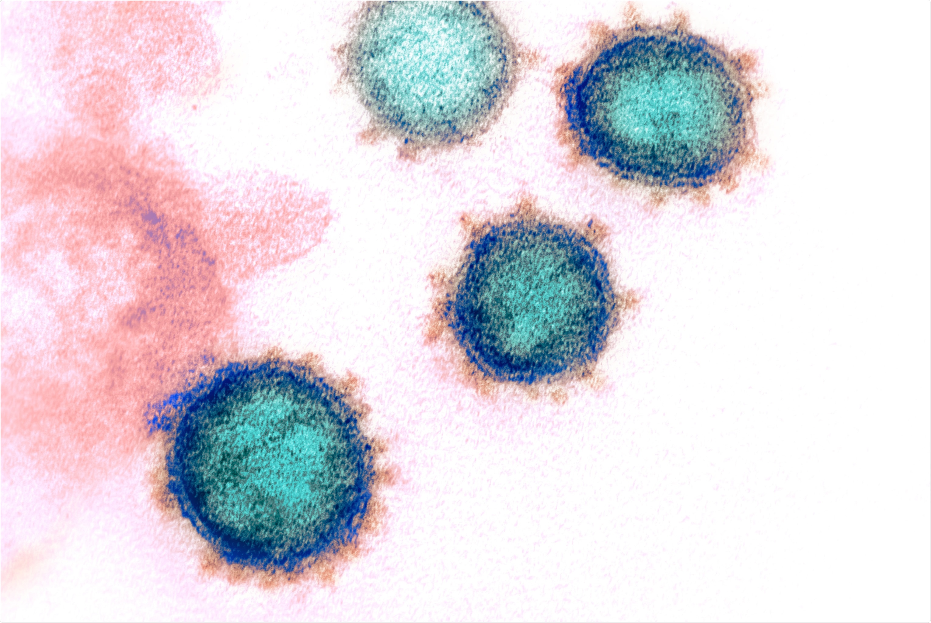 Study: Single cell profiling of T and B cell repertoires following SARS-CoV-2 mRNA vaccine. Image Credit: NIAID
