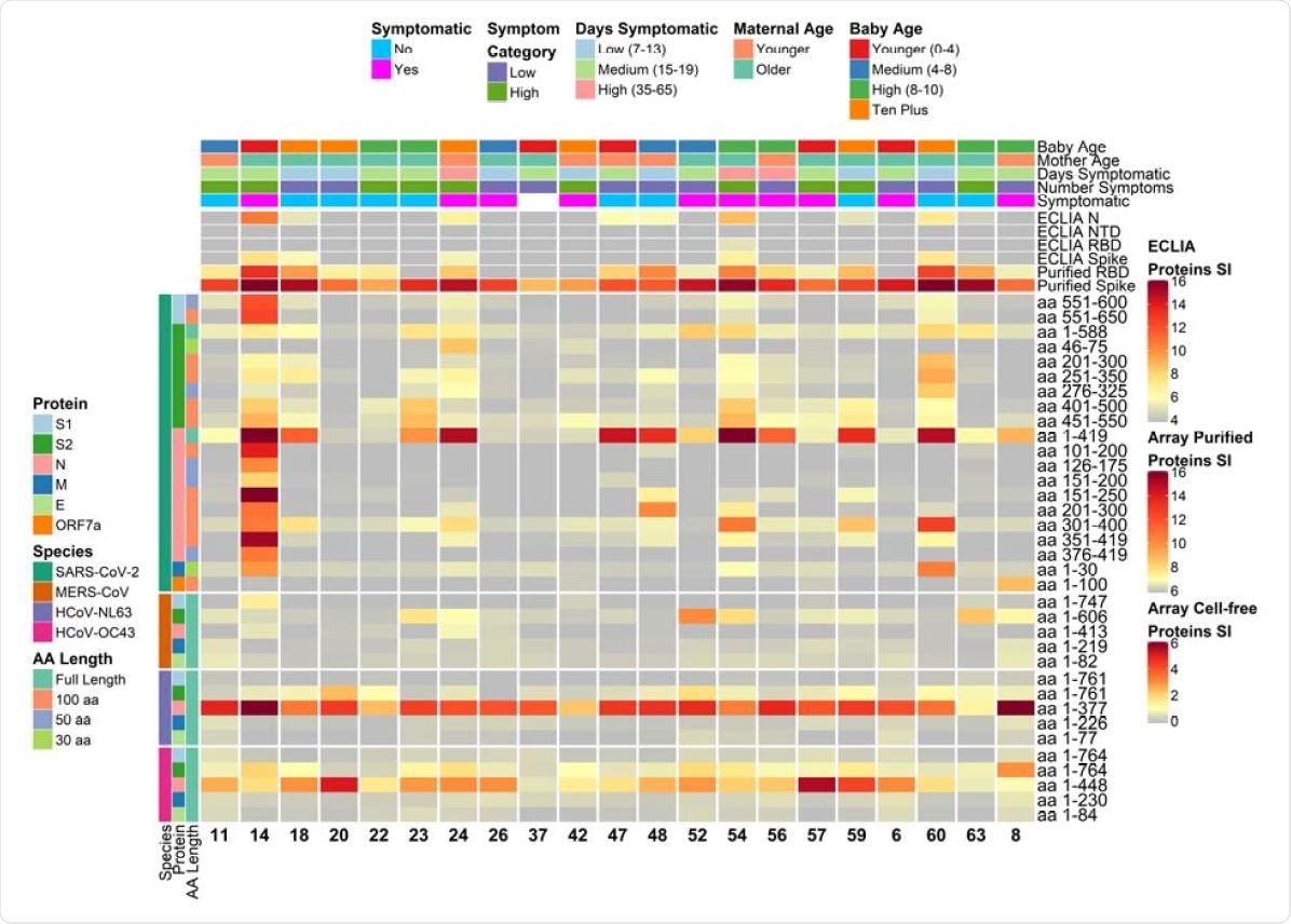 Heatmap depicting relative IgG antibody responses to SARS-CoV-2 as compared to other HCoVs and clinical data. The heatmap presents the signals of antibody binding to individual proteins and protein fragments within the antigenic regions of SARS-CoV-2, as well as the full-length structural proteins of MERS-CoV, HCoV-NL63 and HCoV-OC43, for individual samples. Columns represent breast milk samples that were analyzed for IgG based on selection of one sample per mother with maximal IgA responses. Mother IDs are indicated at the bottom of each column. Rows represent proteins or protein fragments: 20 SARS-CoV-2 proteins or fragments filtered for having a maximal normalized log2 signal intensity of at least 2.0 in one or more mother’s samples (noise levels for breast milk IgG were lower than IgA, and thus the normalized cutoff was set at 2.0 instead of 1.0 used for IgA), and five proteins each of MERS-CoV, HCoV-OC43 and HCoV-NL63. Antibody signal intensity is shown on a color scale from grey to red. Log2 signal intensities from recombinant purified proteins on the array and log2 signal intensity from proteins assayed on the ECLIA platform are overlaid above the array cellfree expressed proteins and shown with independent grey-to-red color scales. Sample clinical information is overlaid above the heatmaps and includes categories at time of sampling for COVID-19 symptoms, number of symptoms, number of days symptomatic, maternal age and baby age. Protein/fragment information is annotated to the left of the heatmaps and includes the virus, full-length protein name and the amino acid length of the protein fragments (“AA Length”, as full length, 100, 50 or 30 aa).