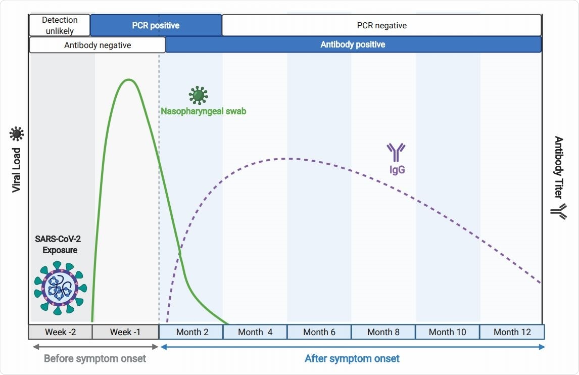 Time course of key biomarkers in SARS-CoV-2 infection, adapted from BioRender.com. The solid green line represents a typical trajectory of the RT-PCR data for viral nucleic acid from respiratory samples, while the broken purple line indicates a typical virus-specific antibody trajectory in peripheral blood, relative to time of infection, as indicated.
