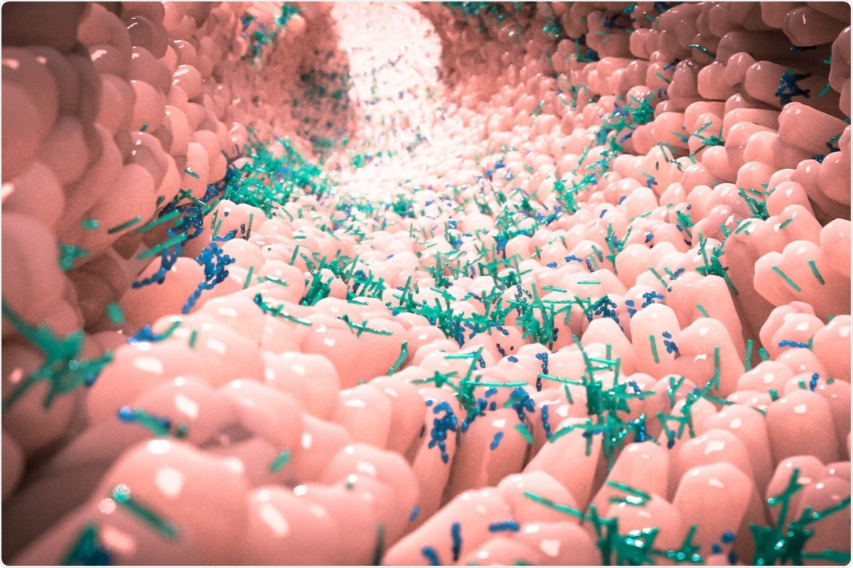 Study: Gut microbiome dysbiosis during COVID-19 is associated with increased risk for bacteremia and microbial translocation. Image Credit: Alpha Tauri 3D Graphics / Shutterstock
