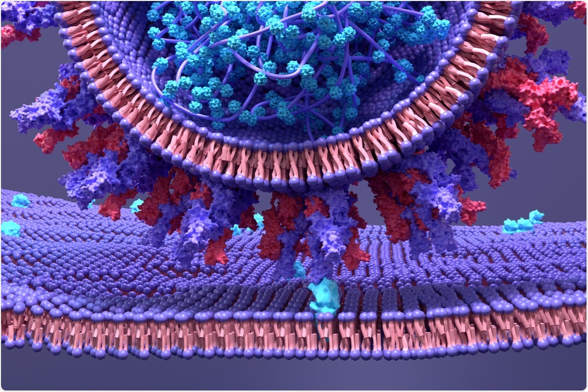 Study: Thiol-based mucolytics exhibit antiviral activity against SARS-CoV-2 through allosteric disulfide disruption in the spike glycoprotein. Image Credit: Design_Cells / Shutterstock