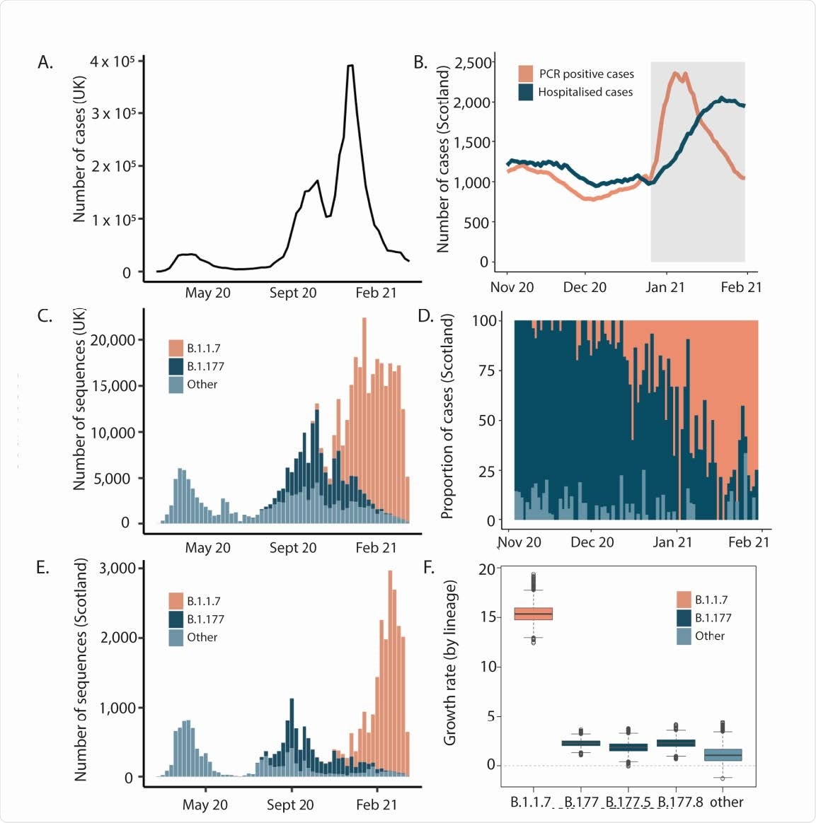 Introduction and growth of lineage B.1.1.7 in the UK A) Waves of SARS-CoV-2 confirmed cases in the UK B) Seven-day rolling average of daily PCR positive cases (orange) and total number of patients hospitalised (dark blue) with COVID-19 in Scotland during the study period. Grey shaded area represents the period of lockdown beginning 26/12/2020 C) Variants in the UK D) Proportion of cases by lineage in the clinical severity cohort E) Variants in Scotland showing three distinct waves in winter and early spring 2020, summer 2020 and autumn/winter, attributed to the shifts from B1 and other variants (light blue) to B.1.177 (dark blue) and then B.1.1.7 (orange). Waves one and two closely mirror the broader UK situation as they are linked to both continental European and introductions from England. Wave three has a single origin in Kent so Scotland lags behind England in numbers of cases F) Estimates of growth rates of major lineages in Scotland from time-resolved phylogenies. Estimates were carried out on a subsample of the named lineages using sequences from Scotland only from November 2020-March 2021using BEAST and an exponential growth effective population size model.