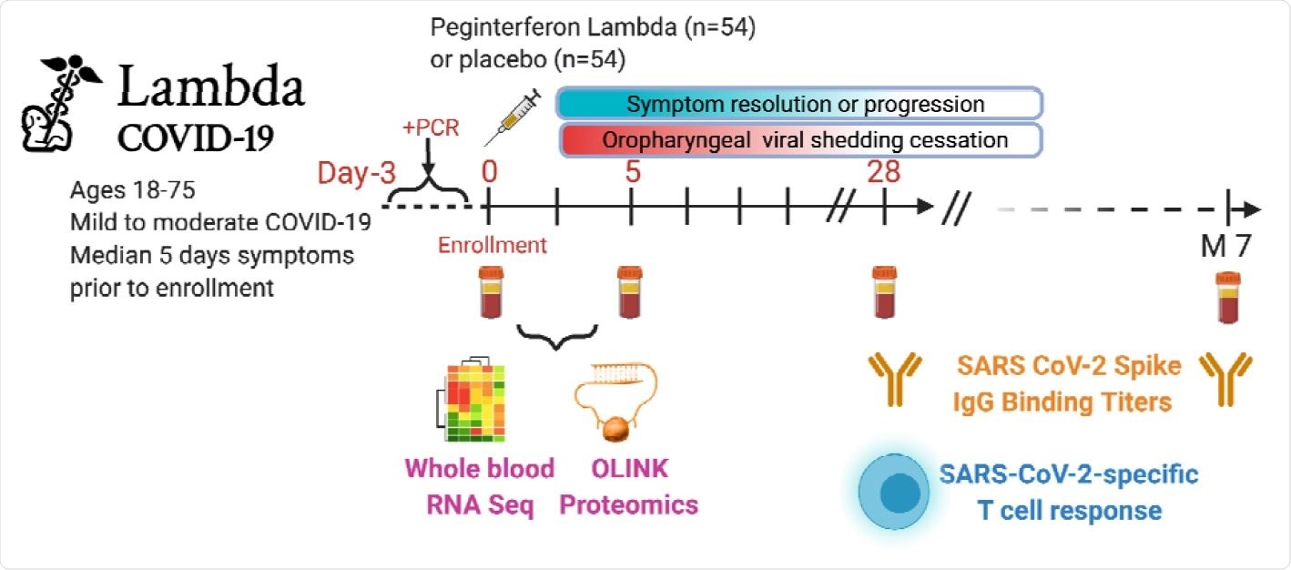 Study schema. Outpatients (n=108) with PCR-confirmed SARS-CoV-2 infection 2 and swab obtained within 72 hours of randomization were enrolled in a Phase 2 clinical trial of subcutaneous Peginterferon lambda vs. placebo. In-person follow-up visits were conducted at day 1, 3, 5, 7, 10, 14, 21, 28,and month 7 post-enrollment, with assessment of symptoms and vitals, and collection of oropharyngeal swabs for SARS-CoV-2 testing. Blood obtained at Day 0 and 5 were evaluated by whole blood transcriptomics (RNA Sequencing), plasma proteomics (Olink), and SARS-CoV-2 specific antibodies. Clinical outcomes assessed included duration of symptoms and duration of virologic shedding. Immunologic outcomes assessed including SARS-CoV-2-specific T cell responses at day 28, and antibody responses at day 28 and month 7. Created with biorender.com.