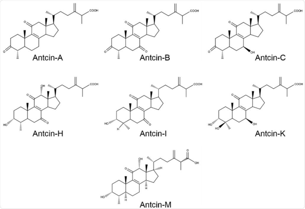 Chemical structure of antcins.