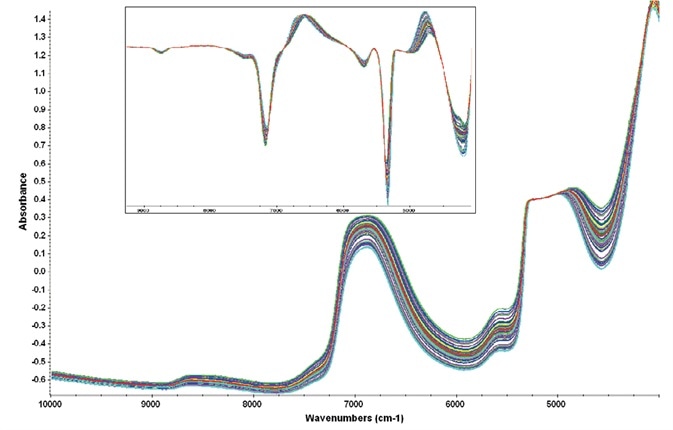 Representative raw spectra showing the variability present in the cell culture samples. Regions of analysis avoided the attenuated water peak at 5100 cm-1. Inset shows the first derivative spectra used for the PLS chemometric method.
