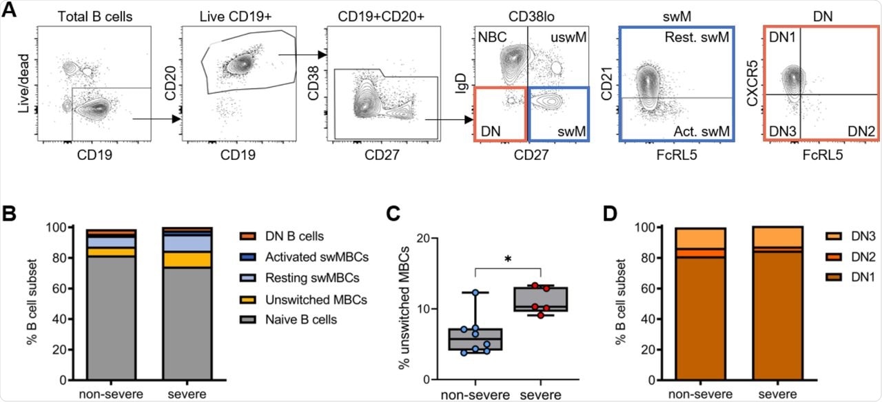Distribution of major B cell subsets in recovered COVID-19 patients. A) Gating strategy to obtain non-antibody-secreting B cells (CD38lo) that are further divided into naïve, unswitched memory (uswM), switched memory (swM), and double negative (DN). SwM B cells were divided into activated and resting populations based on the expression of CD21. DN cells were divided into DN1 – 3 based on the expression of FcRL5 and CXCR5. B) Median percentage of each B cell subset in samples from individuals who recovered from non-severe COVID-19 and severe COVID-19. C) Percentage of unswitched memory B cells, which was increased in individuals who recovered from severe disease as compared to those who had non-severe COVID-19. D) Median proportions of the three different DN populations 1 month after non-severe or severe disease. In panel B – D, results are shown for individuals who recovered from non-severe COVID-19 (n = 8) and severe COVID-19 (n = 5). See Figure S1 for graphs with individual data points for the data shown in panels B and D. * P < 0.05