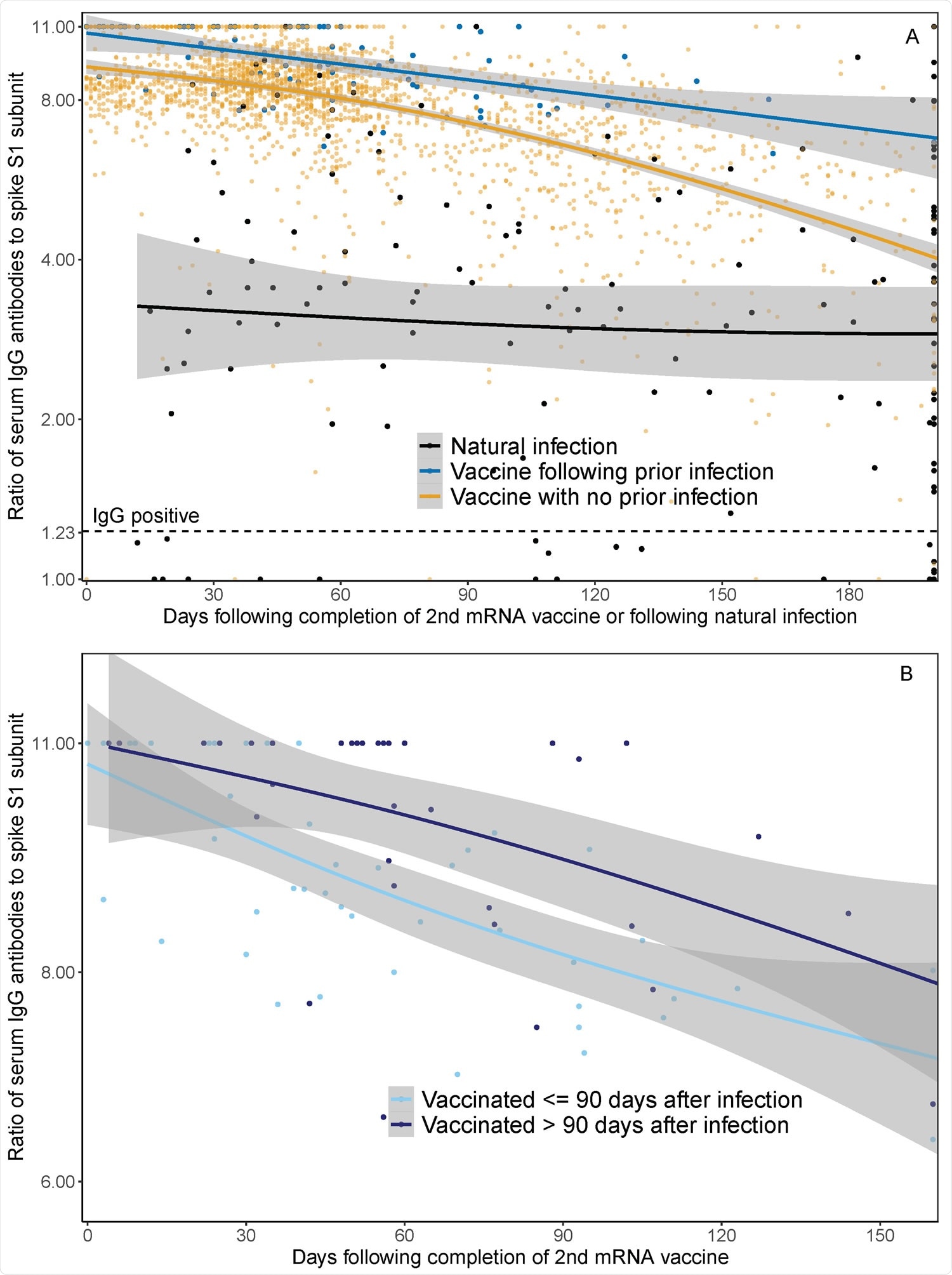 Waning IgG antibodies to SARS-CoV-2 following infection and vaccination in HWs: Panel A demonstrates serum spike S1 IgG antibody measurements in healthcare workers ≥ 14 days following dose two of SARS-CoV-2 mRNA vaccine with prior SARS-CoV-2 infection (blue line), ≥ 14 days following dose two of SARS-CoV-2 mRNA vaccine in those without prior SARSCoV-2 infection (orange line), and in those following SARS-CoV-2 positive PCR test and before vaccination (black line). Prior SARS-CoV-2 infection was defined as positive SARS-CoV-2 PCR prior to first dose of mRNA vaccine. The x-axis represents days of follow-up from infection or vaccination, rather than calendar time, such that 49 HWs contributed to both natural infection and post-vaccination groups, respectively. The lines represent median IgG as a function of days following mRNA vaccination or natural infection, based on natural cubic splines (2 degrees of freedom) for each group. Shaded areas represent 95% Confidence Intervals. Panel B illustrates serum spike S1 IgG antibody decay after mRNA vaccination among participants with SARS-CoV-2 infection ≤ 90 days before vaccination (light blue line) and > 90 days before vaccination (dark blue line). The lines represent median IgG following mRNA vaccination over time using natural cubic splines (2 degrees of freedom). Shaded areas represent 95% Confidence Intervals.