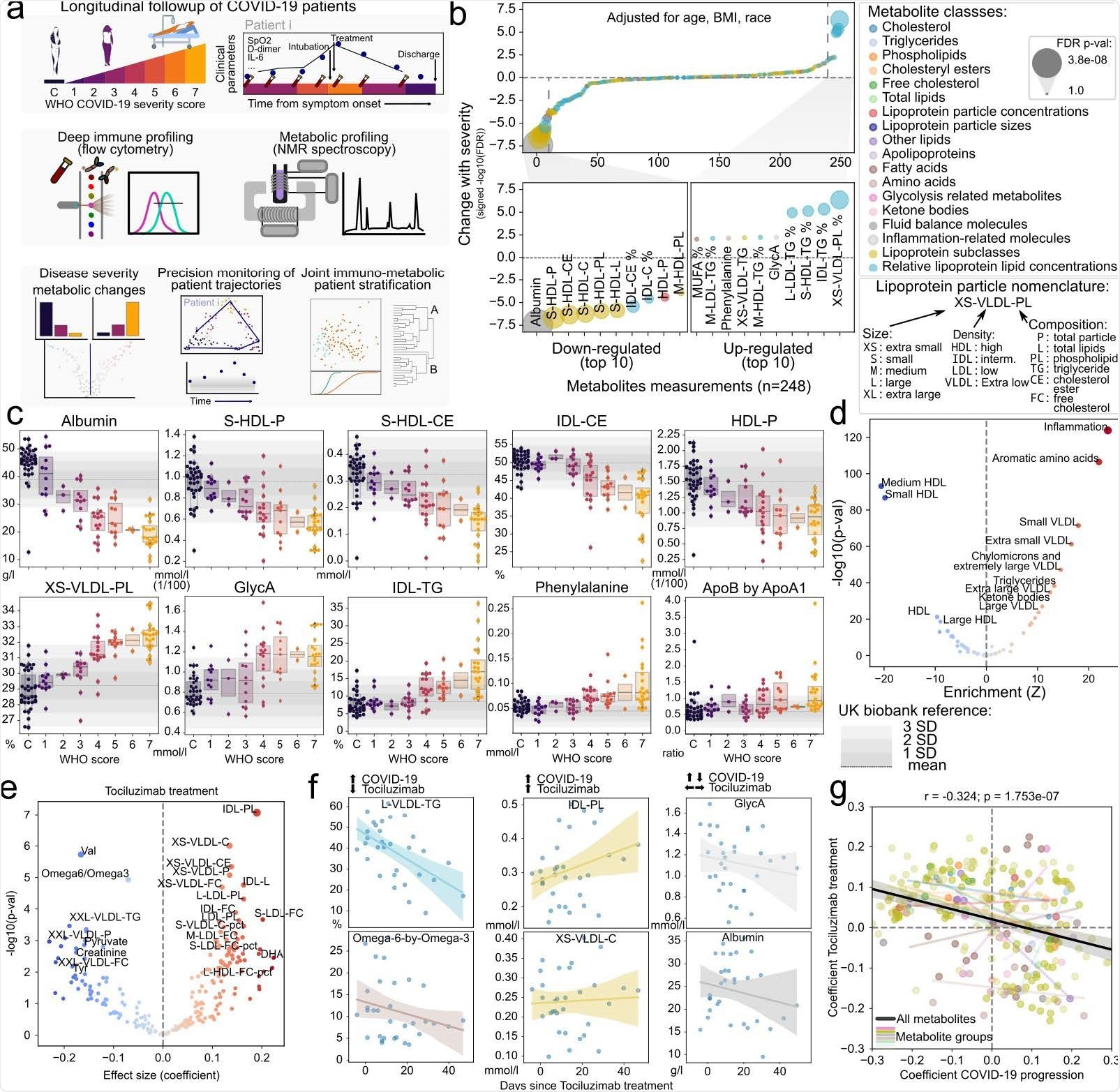 Discovery of metabolic biomarkers of COVID-19 severity and treatment. a) Schematic description of the patients under study, data types collected and approaches for their analysis. b) Association of metabolite abundance with COVID-19 severity for all 248 metabolic species (upper panel). The lower panel illustrates the 10 metabolites most associated with disease severity for each direction. c) Distribution of metabolite abundance for the metabolites most associated with COVID-19 severity depending on the sample WHO score classification. The grey horizontal dashed line represents the mean abundance of the metabolite in over 150,000 individuals from the UK biobank cohort and grey bars represent the standard deviation from the mean. d) Enrichment analysis of metabolites changing with COVID-19 severity in functional terms. e) Association of metabolite abundance with the time since tocilizumab treatment. The coefficient values refer to the change per day in relation to the mean. f) Abundance of metabolites with discordant (left), concordant (center) or indifferent (right) change between COVID-19 severity and tocilizumab treatment for treated patients. g) Comparison of the coefficients of change in COVID-19 severity (x-axis) and effect of tocilizumab treatment over time (y-axis). Each point is a metabolite colored by its class identity as in b). The black regression line indicates the overall trend between all metabolites, while the colored regression lines indicate the trend for each group of metabolites as in panel b).