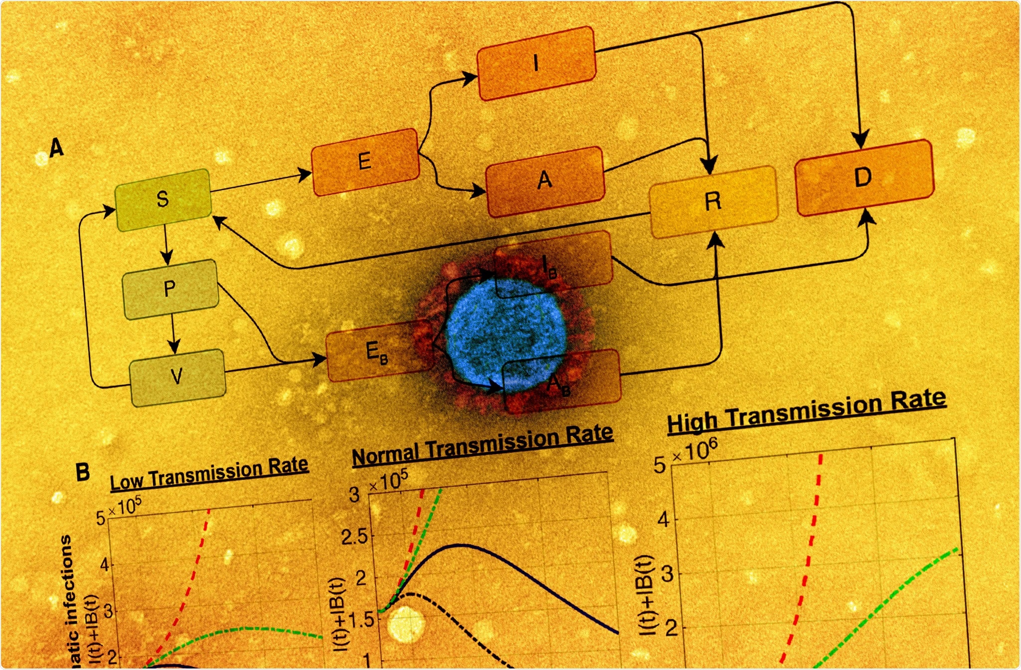Study: Modeling the transmission of the SARS-CoV-2 delta variant in a partially vaccinated population. Image Credit: NIAID
