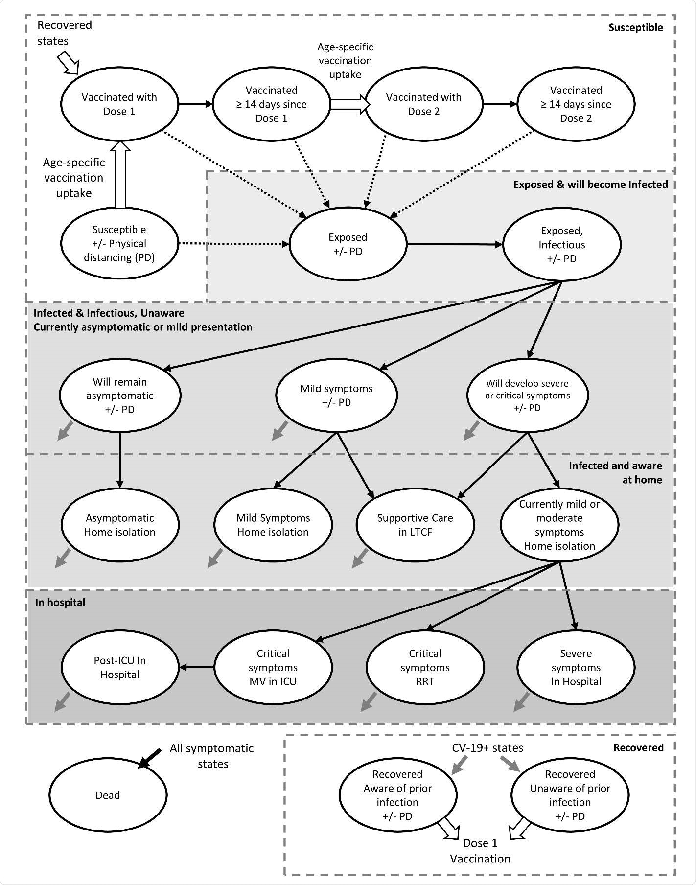 Model schematic