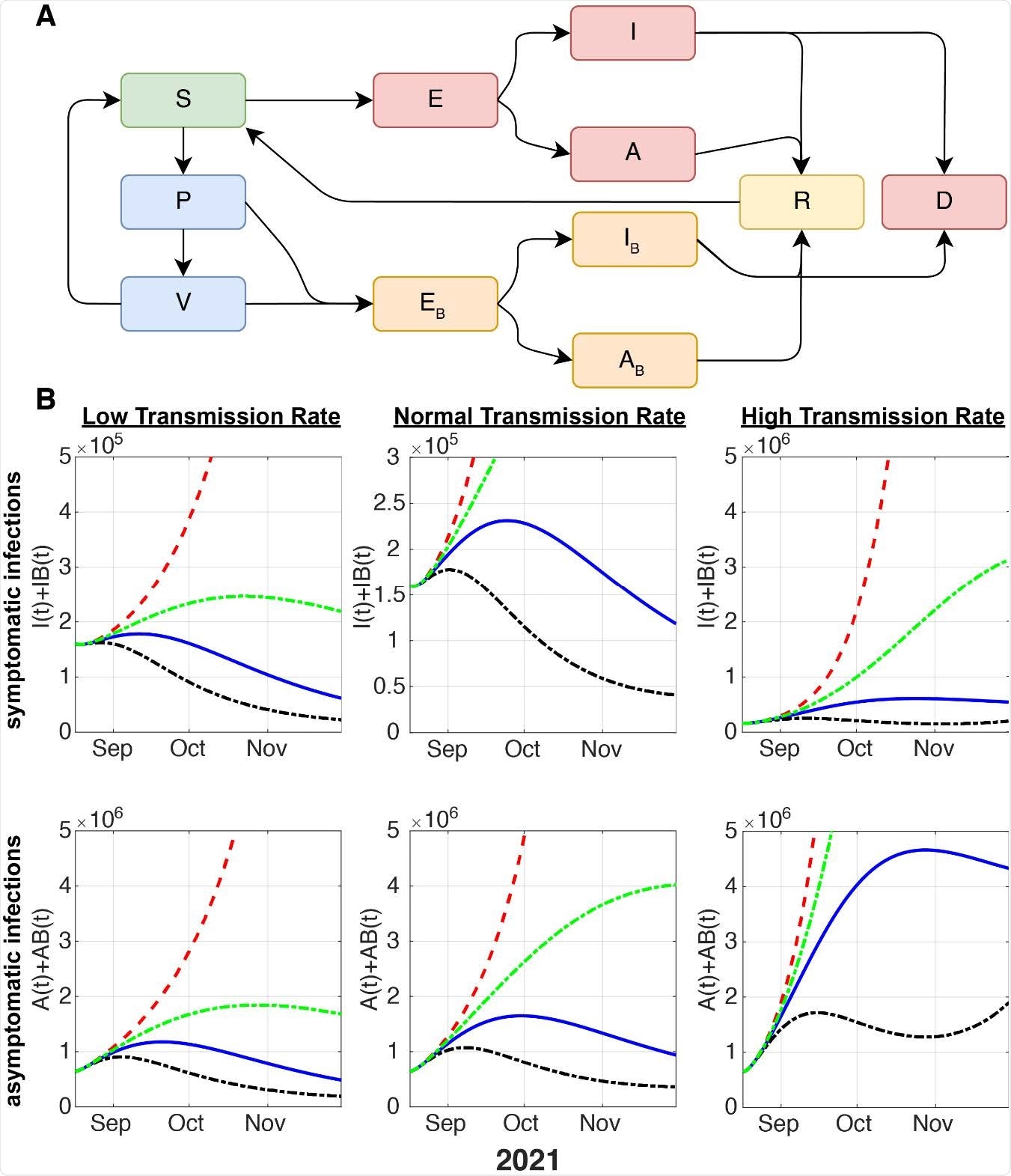 Schematic of the model considering vaccinated vs. unvaccinated individuals and projection of newly infected symptomatic and asymptomatic cases. (A) Flow dynamics of the mathematical model. S: susceptible, P: partial immunity (one vaccine dose), V: full immunity (two vaccine doses). E: unvaccinated, exposed. I: unvaccinated, infected and symptomatic, A: unvaccinated, infected, asymptomatic. 𝐸𝐵: vaccinated (≥1 𝑑𝑜𝑠𝑒), exposed. 𝐼𝐵: vaccinated (≥1 𝑑𝑜𝑠𝑒), infected, and symptomatic (“breakthrough cases”). 𝐴𝐵: vaccinated (≥1 𝑑𝑜𝑠𝑒), infected and asymptomatic. R: recovered. D: deceased. (B) Modelled dynamics of the new infections that are symptomatic (top row) and asymptomatic (bottom row) from the SARS-CoV-2 delta variant considering different vaccination rates. The red line presents zero vaccination; the green line represents a 50% decrease in VR; the blue dotted line means baseline VR and the black dotted line denotes 200% VR.
