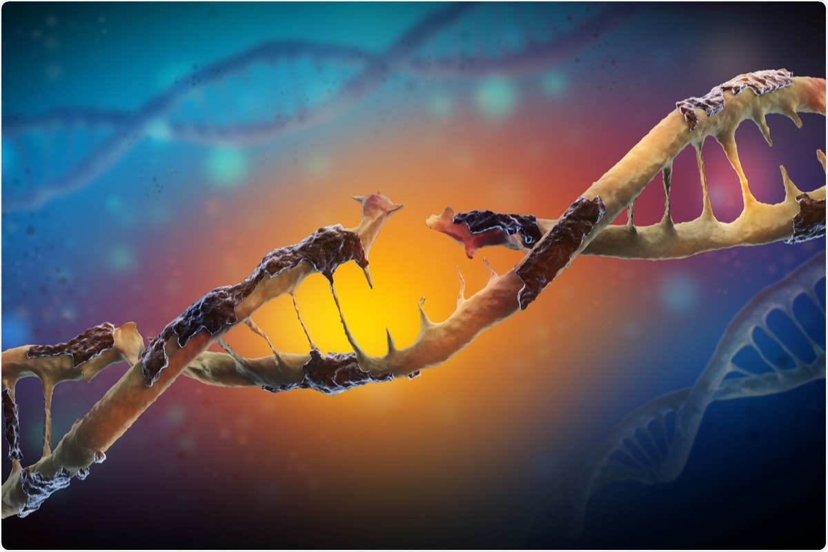 Study: SARS-CoV-2 triggers DNA damage response in Vero E6 cells. Image Credit: Festa/ Shutterstock