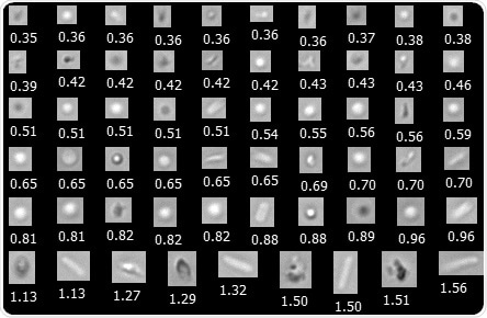 FlowCam Nano captures submicron images of protein aggregates, silicone oil droplets, sucrose aggregates, and E. coli cells. The particle diameter is shown in µm.