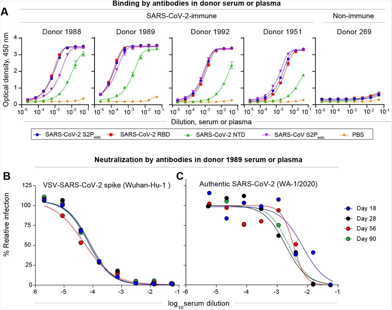 Characterization of SARS-CoV-2 antibodies in convalescent patient samples.