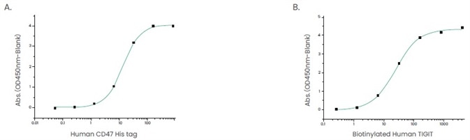 Examples of ligand–receptor pair proteins. (A) The binding assay of CD47 and SIRP_. Immobilized human SIRP hFc (Cat: 11612-H02H1) at 2 μg/ml (100 μl/well) can bind human CD47 His (Cat: 12283-H08H). (B) The binding assay of TIGIT and CD155. Immobilized human CD155/PVR His (Cat: 10109-H08H) at 2 μg/mL (100 μl/well) can bind biotinylated human TIGIT (hFc & AVI Tag) (Cat: 10917-H41H-B).