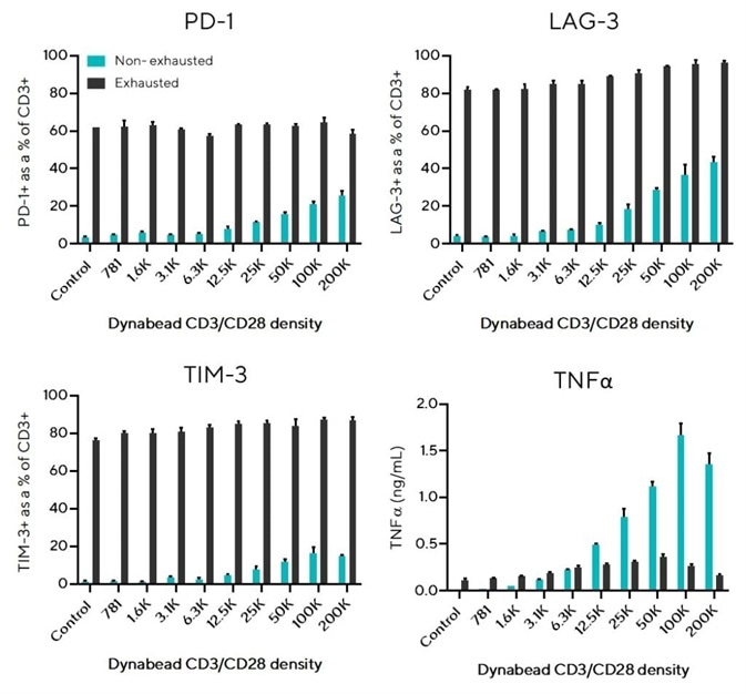 Exhausted T cells overexpress inhibitory receptors and produce low concentrations of effector cytokine TNFα.