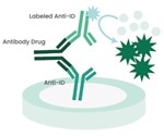 Optimizing PK/ADA assays with anti-idiotype antibodies