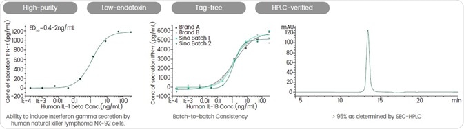 Understanding the Interleukin-1 family: Central mediators of innate immunity and inflammation Understanding the Interleukin-1 family: Central mediators of innate immunity and inflammation