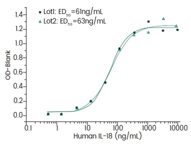Induce IFN Gamma Secretion. Induce IFN Gamma Secretion.