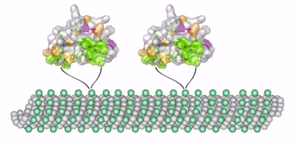 Bruker 1.4 Bruker 1.4