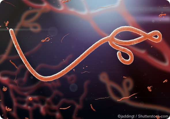 Ebola virus
