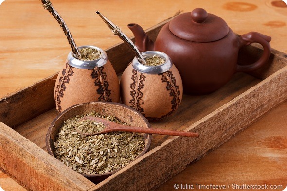Mate in a traditional calabash gourd with bombilla. Selective focus